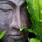 Boekrecensie: Boeddhistische meditatie voor beginners